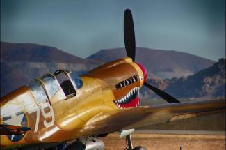 P-40