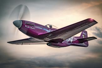 Vicky Benzing — P-51 Plum Crazy